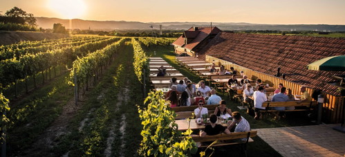 Abendstimmung am Winzerhof der Familie Dockner.