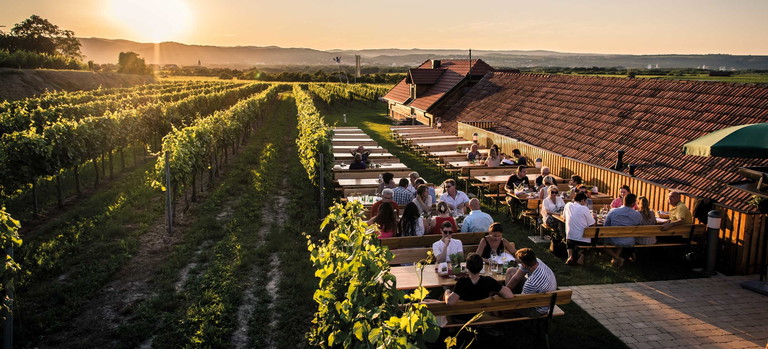 Abendstimmung am Winzerhof der Familie Dockner.