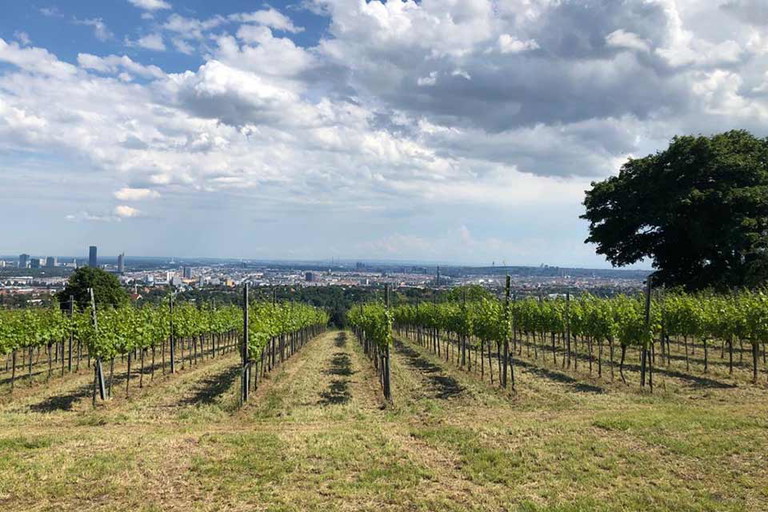 Dieser Ausblick lockt auf den Steinberg