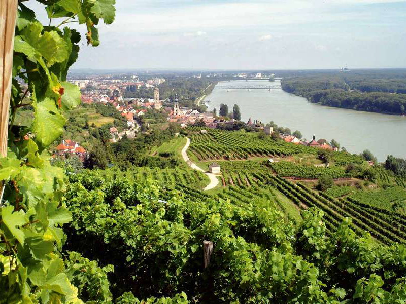 Kühle Einflüsse aus dem Waldviertel und pannonische Wärme vereinen sich im Kremstal