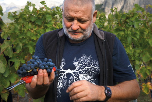 Der Walliser Biowinzer Didier Joris landete mit seiner Rotweincuvée Ophiuchus auf dem ersten Platz der Falstaff Rotweincuvée-Trophy.
