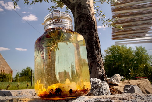 Botanical Cocktails, feines Craft-Bier und Weine von lokalen Produzenten gehören zur Getränkekarte der neuen Gartenbar.