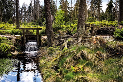 Die idyllische Natur, wie hier bei Harzgerode, zieht seit Jahrhunderten Romantiker in ihren Bann. Deutsche Dichter inspirierte der Harz zu Großem.