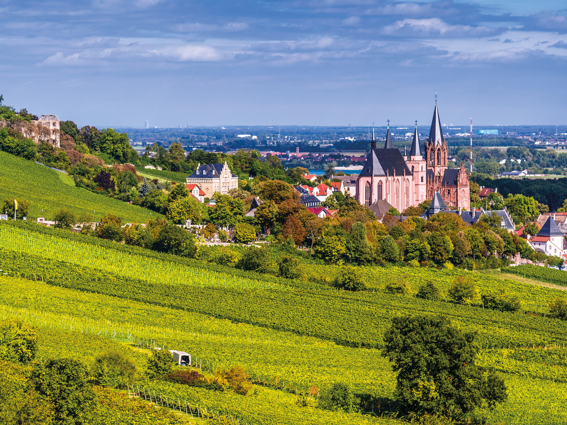 Blick auf Oppenheim mit seiner Katharinenkirche, deren Bau im Jahr 1226 begonnen wurde.