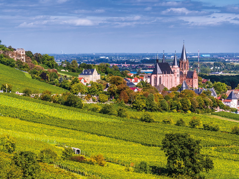 Blick auf Oppenheim mit seiner Katharinenkirche, deren Bau im Jahr 1226 begonnen wurde.