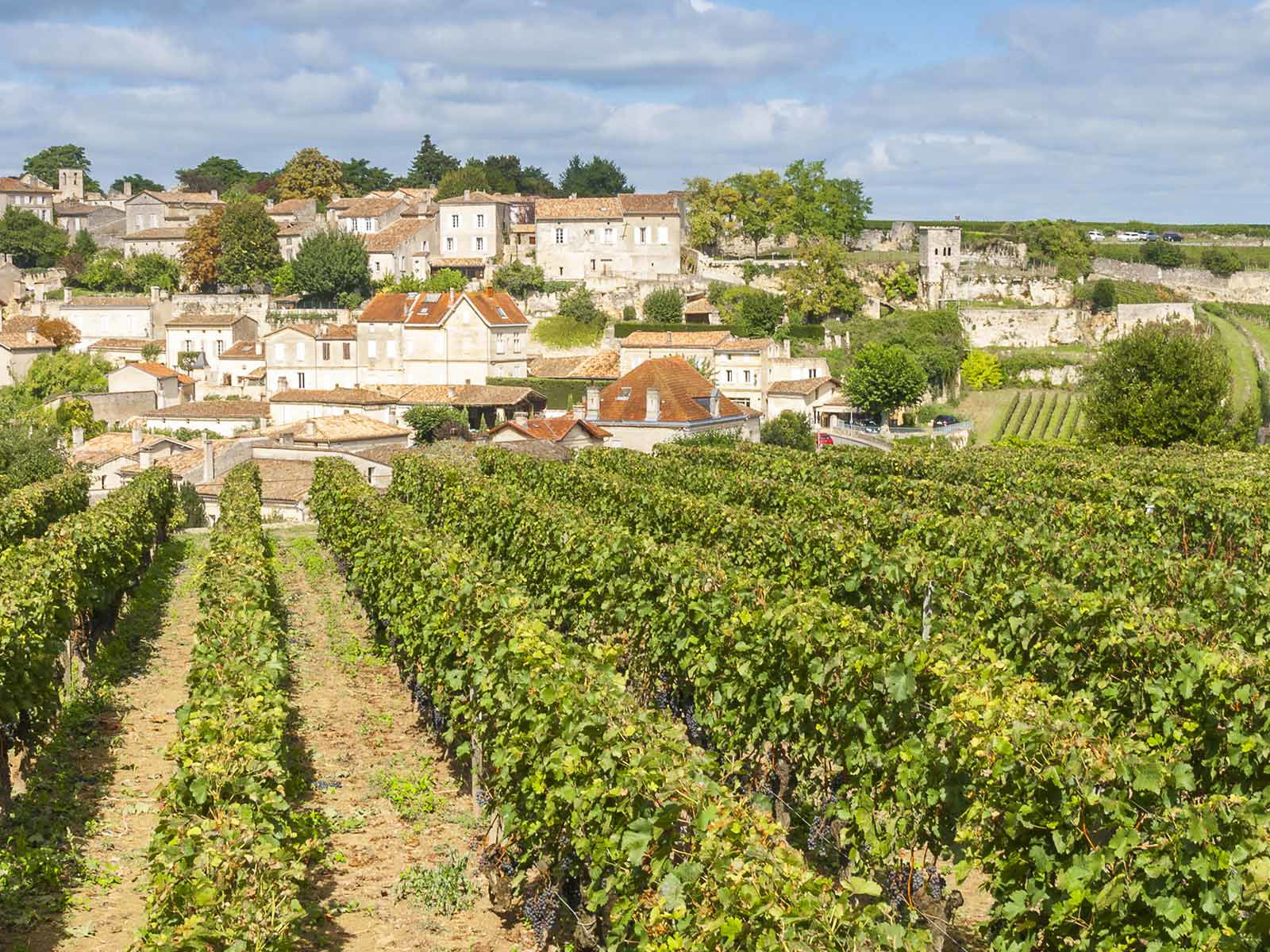 Blick auf St. Emilion