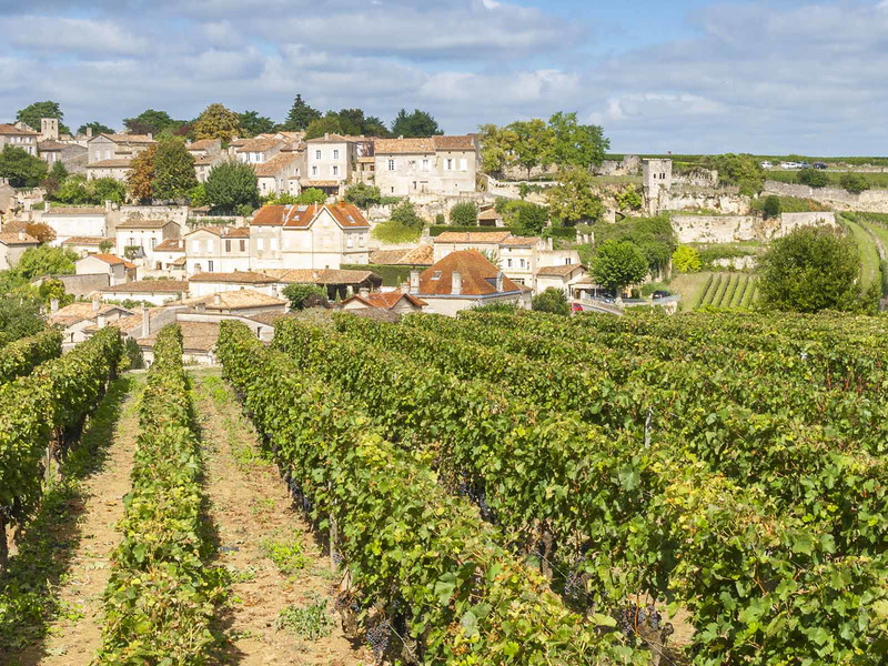 Blick auf St. Emilion