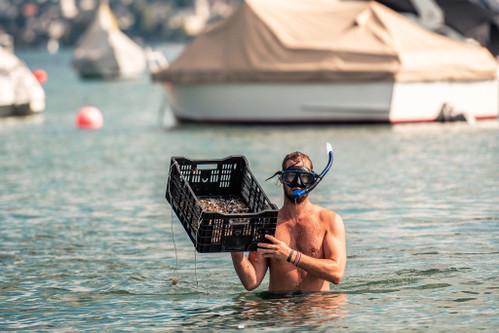 Delikatesse aus dem Zürichsee...