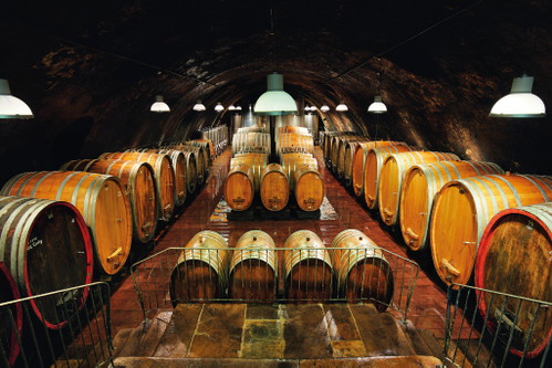 Weingut Wittmann: Biodynamik und perfektionistische Ausbaumethoden im Holz.