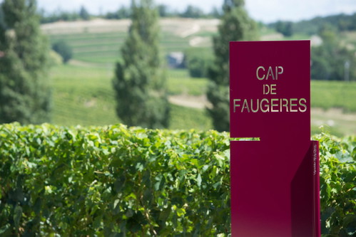 Château Cap de Faugères