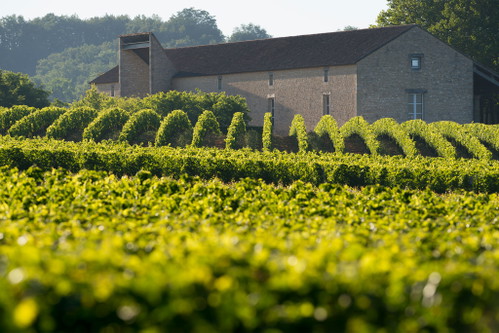 Château Cap de Faugères