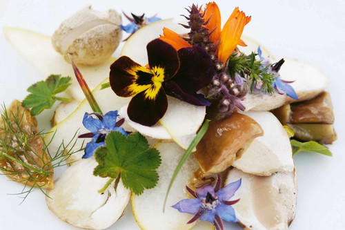 Gewürze und Kräuter entfalten ihr wahres Aroma in der Höhe. Darum haben Bergkräuter Eingang in die feinsten Küchen gefunden.