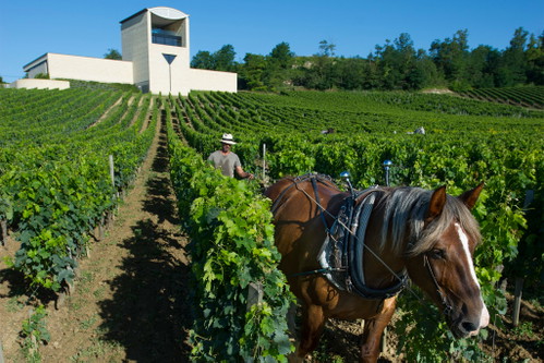 Château Faugères