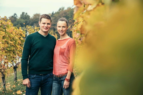 »Steirischer Wein steht für Vielfalt. Als kostbares Kulturgut belohnen die steirischen Weine die Mühen der Handarbeit mit schier endloser Frische.« Johannes Gross, Obmann der »STK«-Winzer.