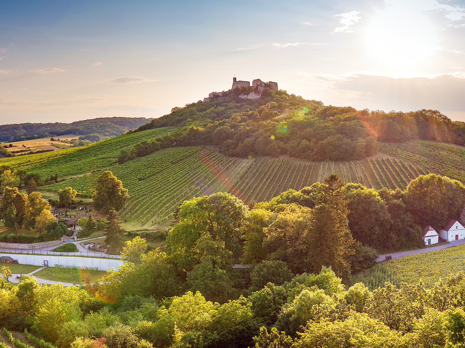 Das Weinviertel ist Österreichs größtes Herkunftsgebiet und die Heimat des Grünen Veltliners.