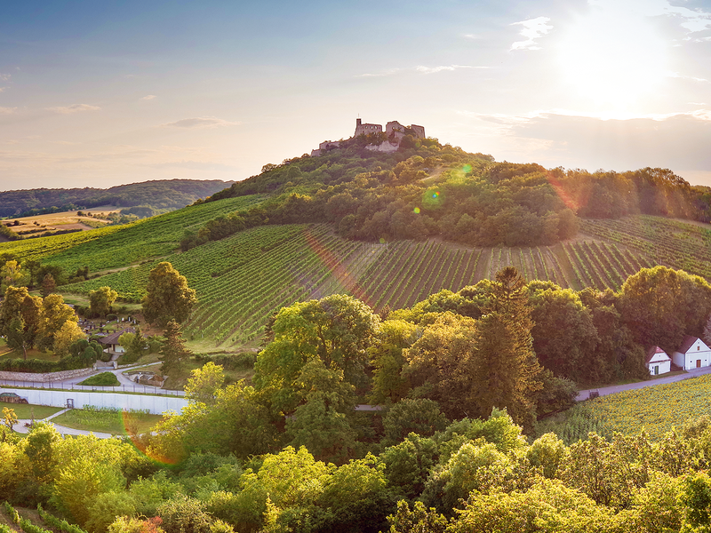 Das Weinviertel ist Österreichs größtes Herkunftsgebiet und die Heimat des Grünen Veltliners.