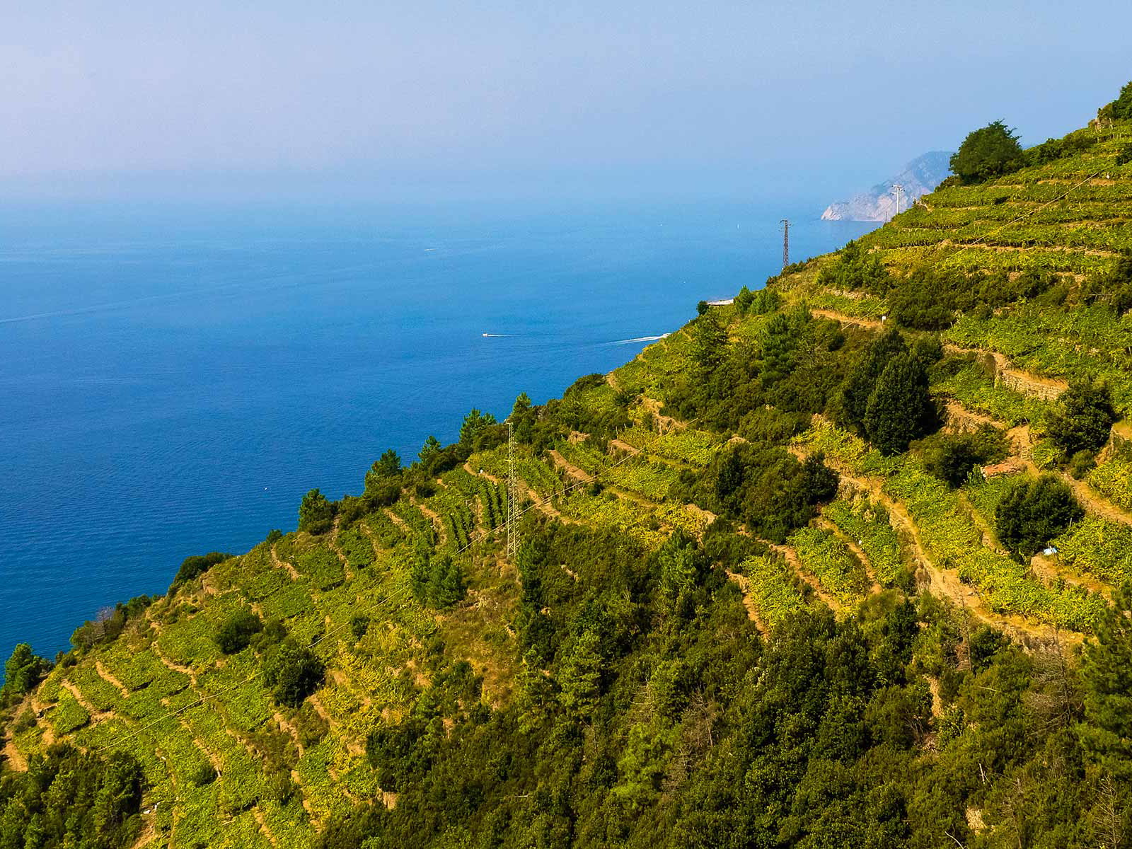 Eisgekühlter Rosé bringt uns den Sommer und Italien ein Stückchen näher.
