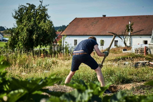Graben: Zuerst müssen genug Steine für den Ofen gesammelt werden – das sorgt dafür, dass der Appetit nachher umso größer ist.