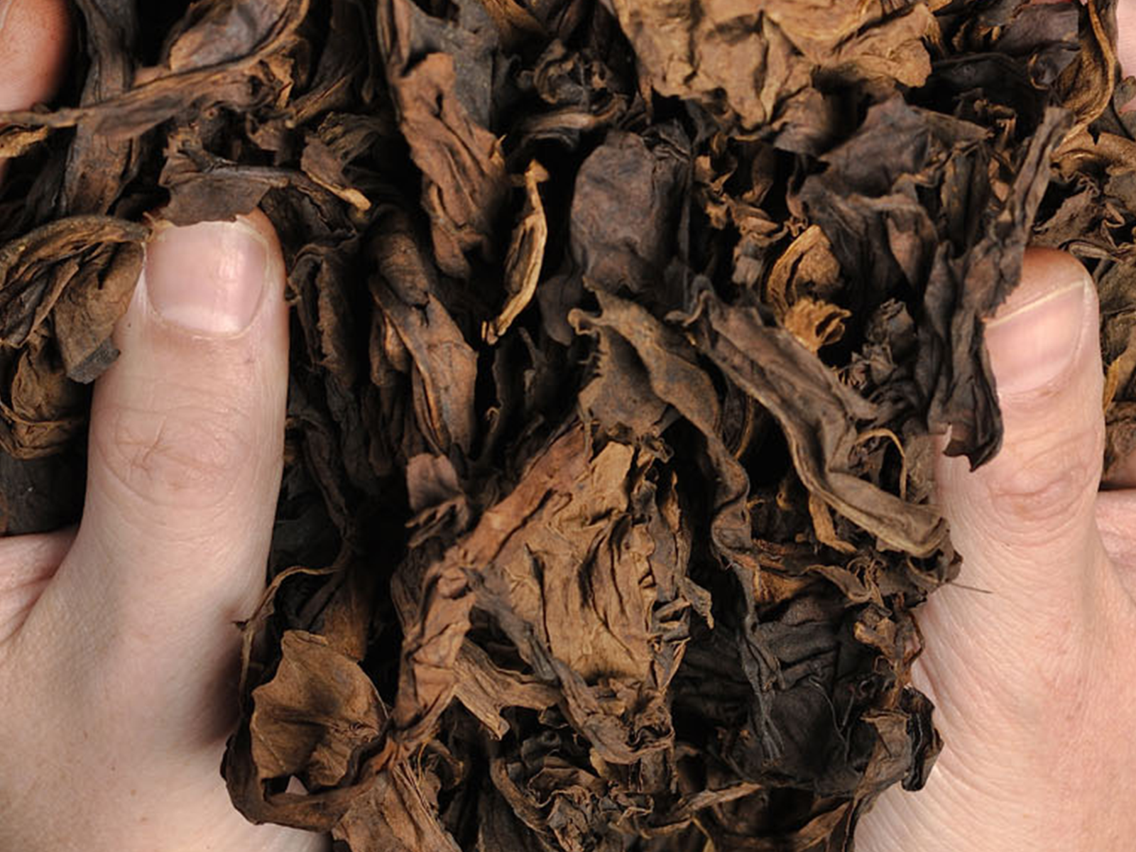 Verführerisches Aroma: Toscanello Rubino