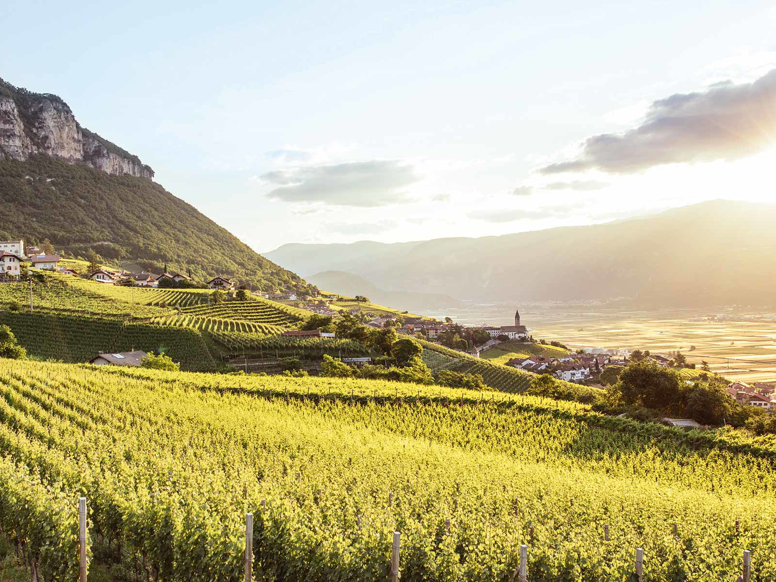 Wein-Idylle: Die Talsohlen werden vom Obstbau besetzt, die Hanglagen sind dem Weinbau vorbehalten.