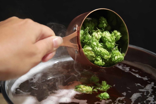 Hopfen&nbsp;beeinflusst den Geschmack des Biers wie kaum eine andere Zutat.&nbsp;