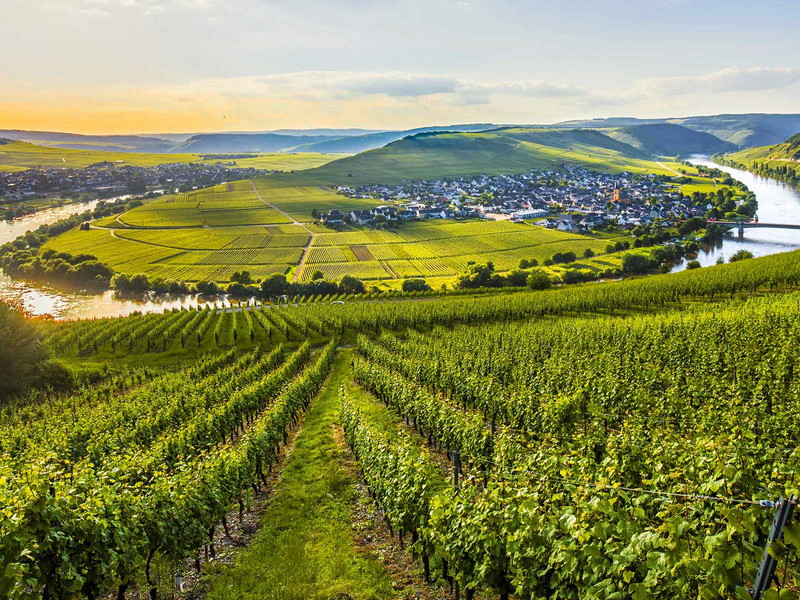So präsentiert sich die Mosel auf mehr als 160 Kilometern: als mäandernder Fluss mit Rebenmeer.