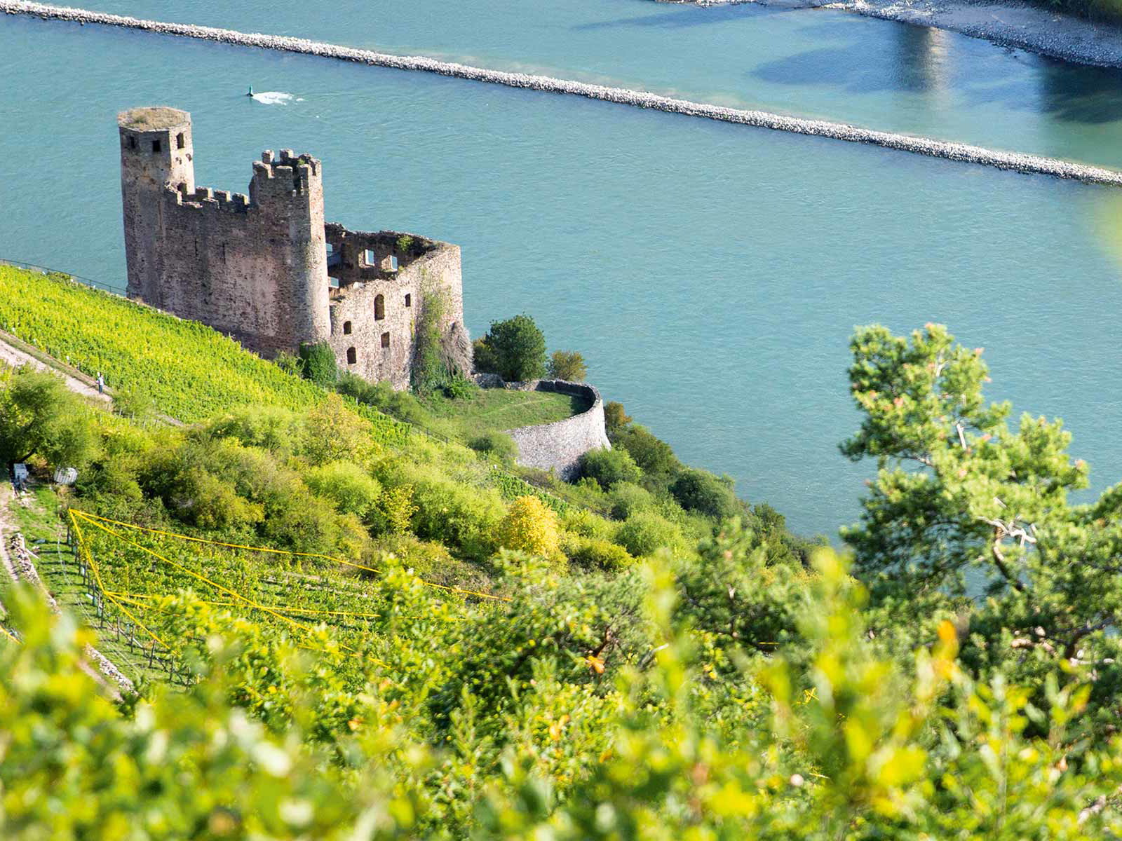 Die Burg Ehrenfels wurde zu Beginn des 13.&nbsp;Jahrhunderts erbaut. Heute gehört sie zum UNESCO-Weltkulturerbe Mittelrheintal.