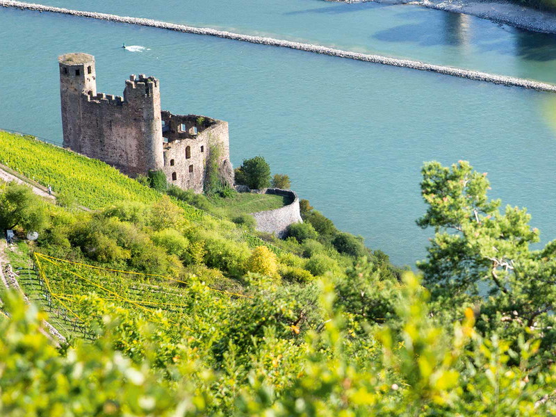 Die Burg Ehrenfels wurde zu Beginn des 13.&nbsp;Jahrhunderts erbaut. Heute gehört sie zum UNESCO-Weltkulturerbe Mittelrheintal.