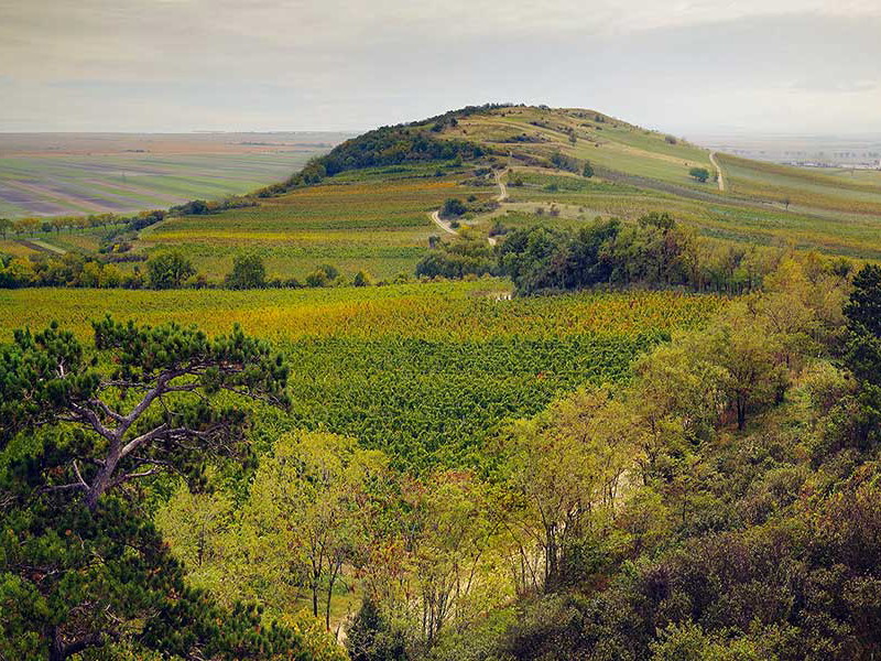 Blick auf den Joiser Jungenberg