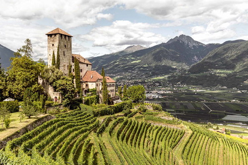 Bergweinbau: Weinberge in Höhenlagen ab 500 Meter erfahren immer mehr Aufmerksamkeit.