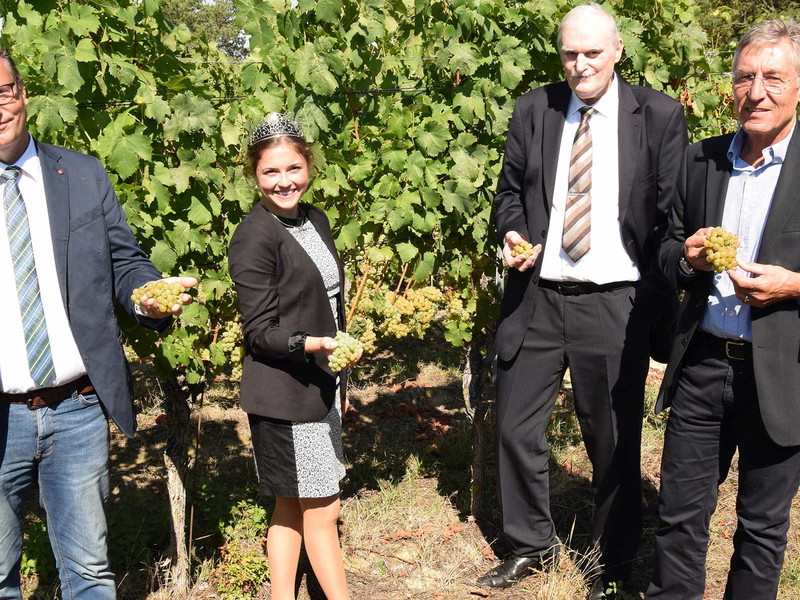 Minister Peter Hauk (links) begutachtet den Jahrgang zusammen mit Weinkönigin Sina Erdrich, Peter Wohlfarth und Rainer Zeller.