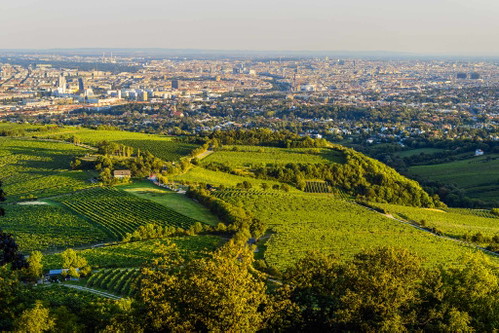 Lebensqualitätsfaktor Naherholungsraum: Wien ist rundum von herrlichem Naturraum umgeben, der auch öffentlich leicht und rasch zu erreichen ist.