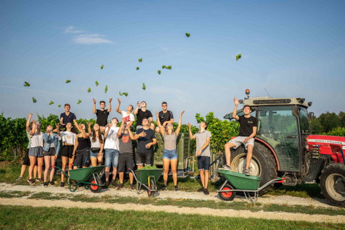 Bei der Ernte halfen viele Hände.