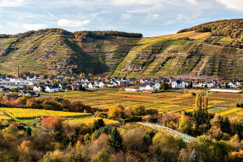 Blick auf den Kräuterberg