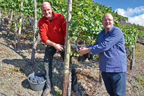 Weingut J. J. Adeneuer: Frank (l.) und Marc Adeneuer sind Alleinbesitzer der Gärkammer, einer 68 Ar kleinen Enklave im Kräuterberg.&nbsp;