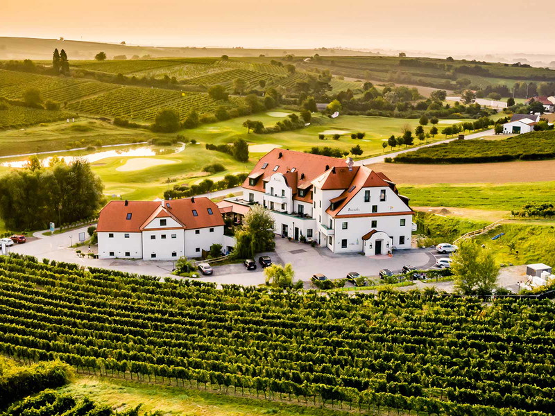 Erholung pur: speisen und nächtigen mit Blick auf die hauseigenen Reben im Weingut Neustifter in Poysdorf im nördlichen NÖ.