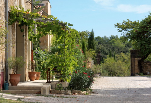 Domaine Pierre Clavel in Assas