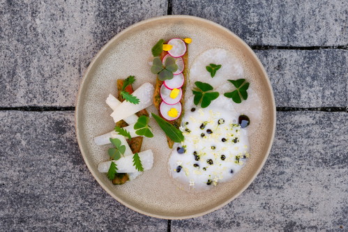 Roh marinierter Saibling mit Waldklee, Kohlrabi und Holunder