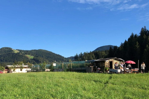 Simone Embacher hat sich der Schneckenzucht verschrieben und hat für ihre »Kaiserschnecken« in der Region schon hochkarätige Kulinarik-Partner gefunden.