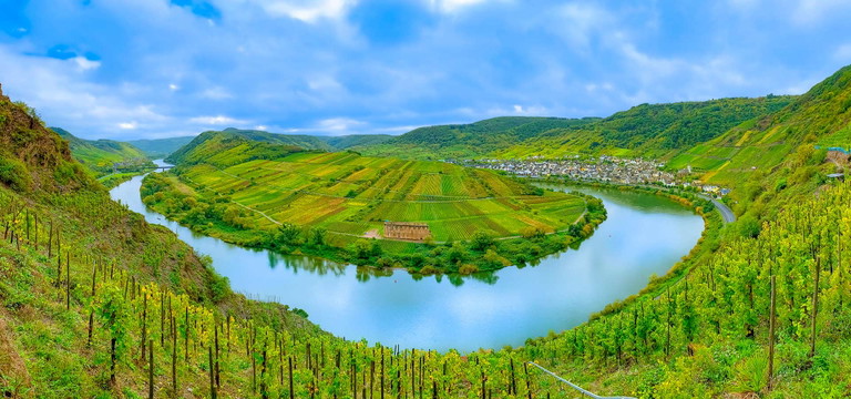 Das Weinbaugebiet Mosel ist weltberühmt für seine Rieslinge.