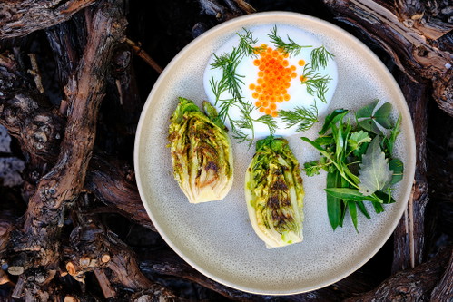 Gegrillte Romana-Salatherzen mit Forellen-Kaviar und Buttermilch