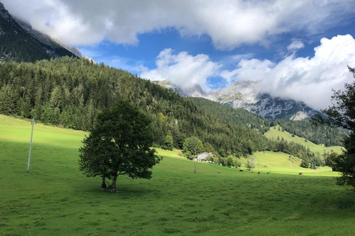 Saftige Wiesen ruhen vor dem Wilden Kaiser.