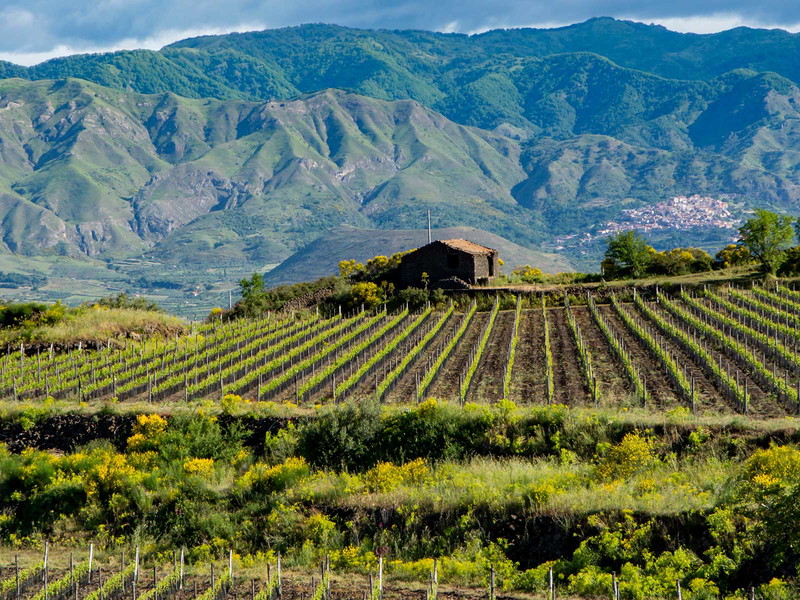 Das hippe Weinbaugebiet Etna rund um den sizilianischen Vulkan kommt im neuen »Weinatlas« entsprechend Aufmerksamkeit.