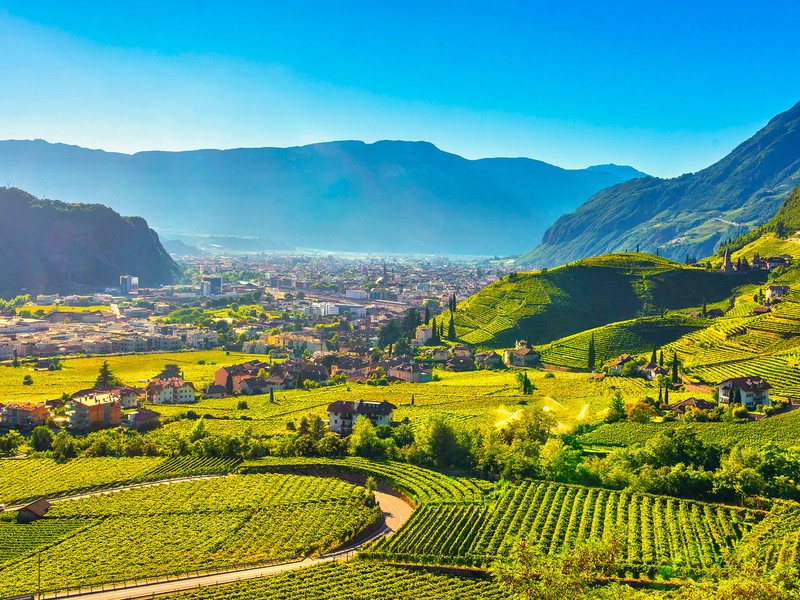 Aussicht auf die Weinberge in St. Magdalena in Bozen.