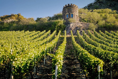 Monumentaler 2019er Felsenberg »Felsentürmchen« vom Weingut Dönnhoff