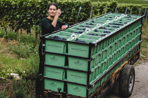 Sophie Christmann hebt im Gimmeldinger Spitzenweingut den Spätburgunder auf ein neues Niveau.