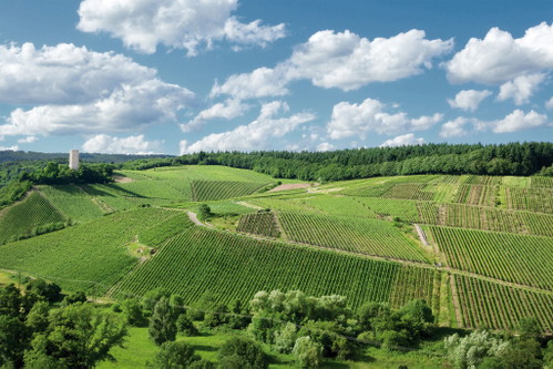 Gräfenberg zum Zungeschnalzen: Wilhelm Weils 2019er GG ist ein Leuchtturm für Jahrzehnte.