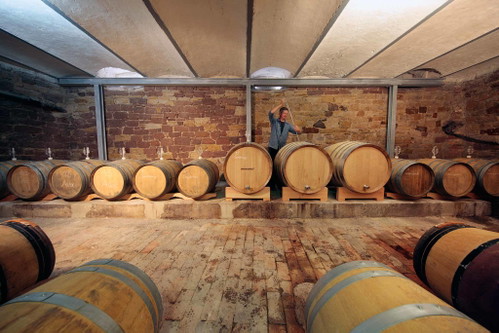 Experimentiert seit Jahren mit PiWi-Gewächsen: Ansgar Galler vom gleichnamigen Weingut in Rheinland-Pfalz.