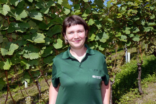 Karin Schär hat einen einzigartigen Job: Sie ist bei der Stadt Zürich als Winzerin angestellt und bewirtschaftet den stadteigenen Rebberg in Zürich-Höngg.