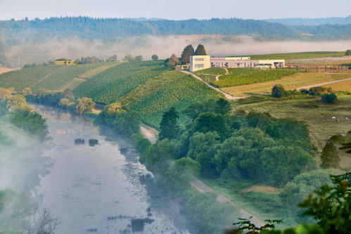 Das Weingut van Volxem